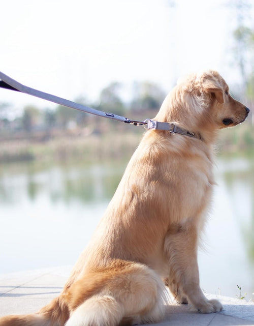 Load image into Gallery viewer, Pets 24 Inches Heavy Duty Short Leash with Comfortable Handle and Lightweight Aviation Aluminium Clip Lead- for Large Medium Dogs Daily Walking and Training. (Sleet Gray)
