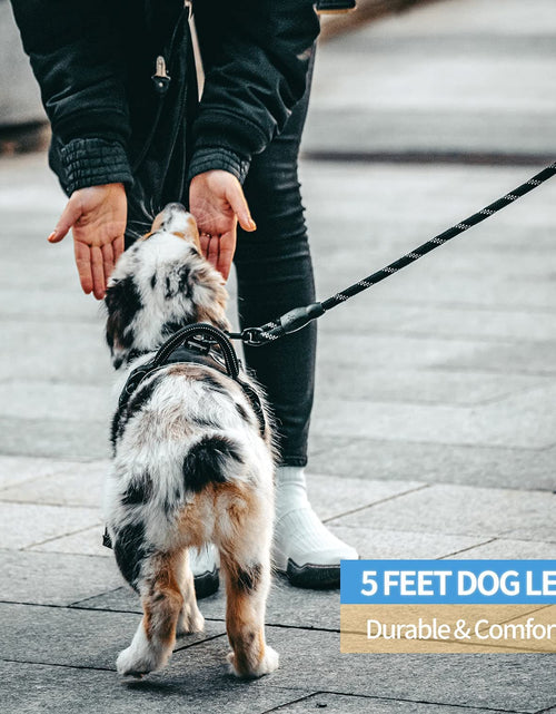 Load image into Gallery viewer, 2/4/5/6 FT Dog Leash with Comfortable Padded Handle and Highly Reflective Threads for Small Medium and Large Dogs (5FT-1/2'', Black)
