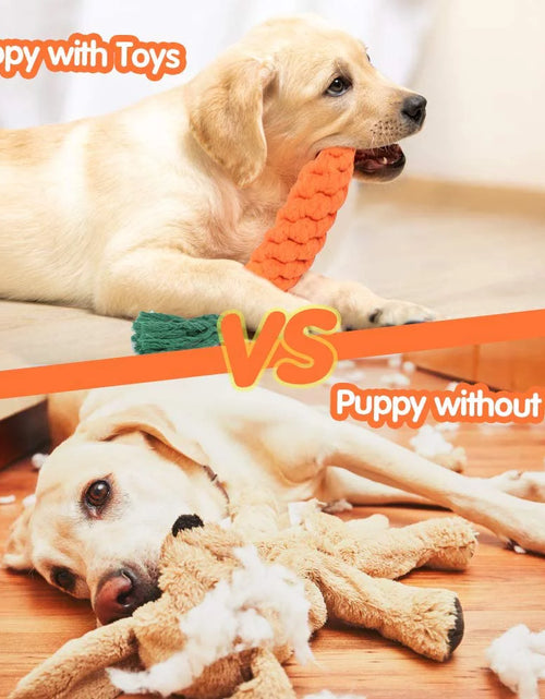 Load image into Gallery viewer, 5 Pieces Dog Chew Toys, Safe Durable Puppy Teething Chewing Braided Toys, Medium Large Pet Dog Cotton Knot Paws Fun Molar for Clean Teeth Healthy

